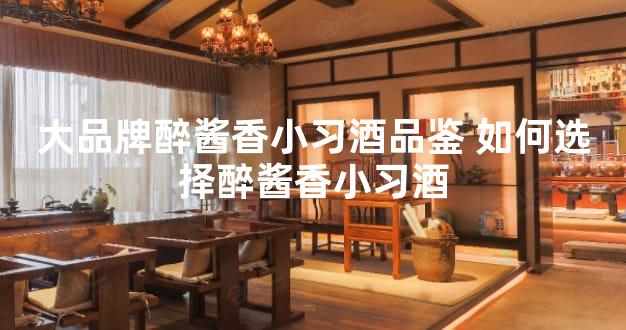 大品牌醉酱香小习酒品鉴 如何选择醉酱香小习酒